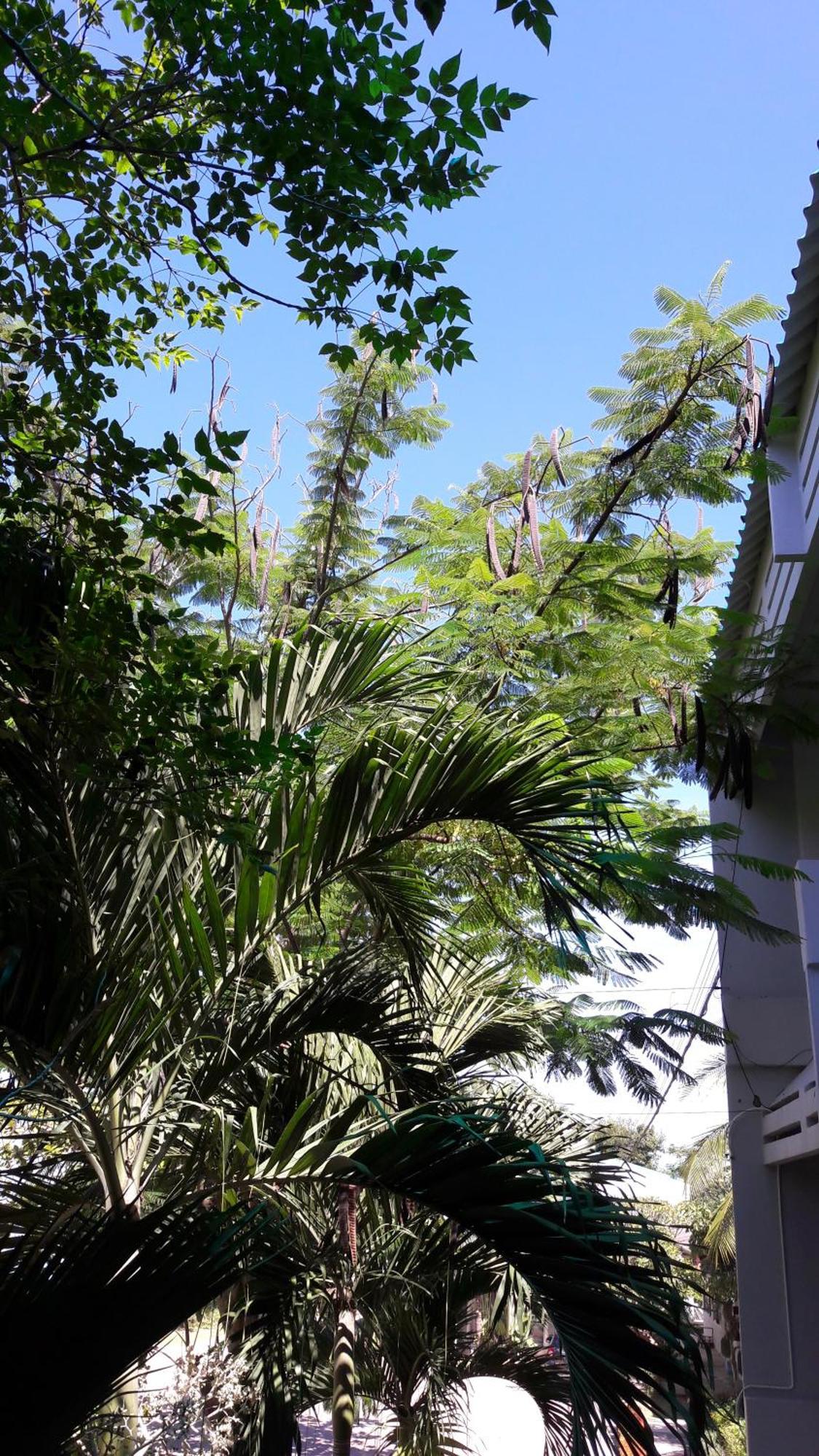 Addera Residence Hua Hin Bagian luar foto